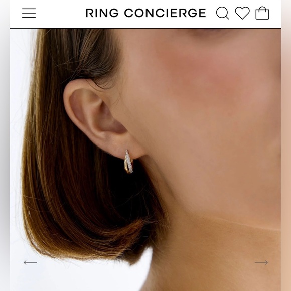 Ring Concierge Double Row Diamond Hoops - Picture 2 of 3